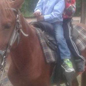 Meet your Posher, Norris